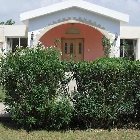 Dora Paphos